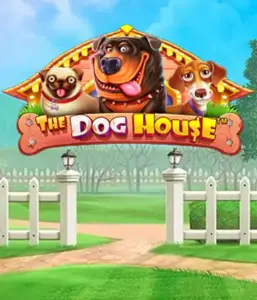 Experience Pragmatic Play's The Dog House, featuring an adorable adventure among playful pups. Enjoy features such as free spins, perfect for providing joyful moments. A must-try for pet lovers an amusing theme with a chance for big wins.