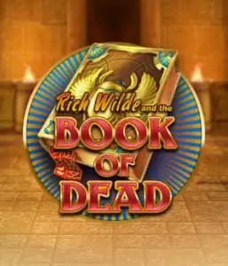 Dive into the thrilling world of Book of Dead by Play'n GO, featuring vivid graphics of Rich Wilde's journey through ancient Egyptian tombs and artifacts. Uncover lost riches with captivating mechanics like free spins, expanding symbols, and a gamble option. Ideal for adventure enthusiasts with a desire for exciting finds.